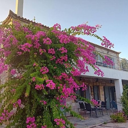 Sofia'S Summer House Корони Экстерьер фото