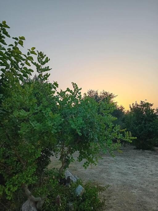 Sofia'S Summer House Корони Экстерьер фото