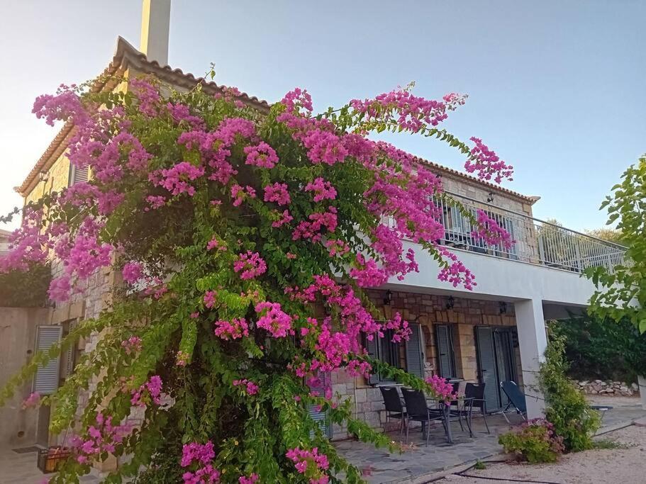 Sofia'S Summer House Корони Экстерьер фото